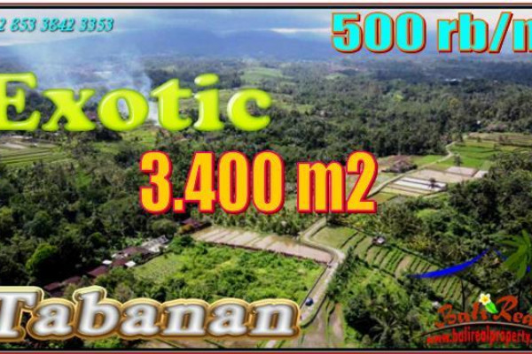 Exotic PROPERTY 3,400 m2 LAND SALE IN Penebel Tabanan  BALI TJTB557