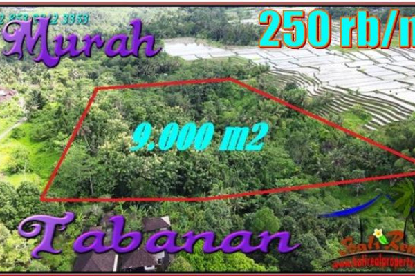 FOR SALE 9,000 m2 LAND IN Penebel Tabanan  TJTB558