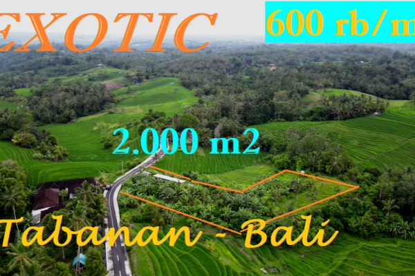 Exotic 2,000 m2 LAND SALE IN Selemadeg Timur Tabanan BALI TJTB569