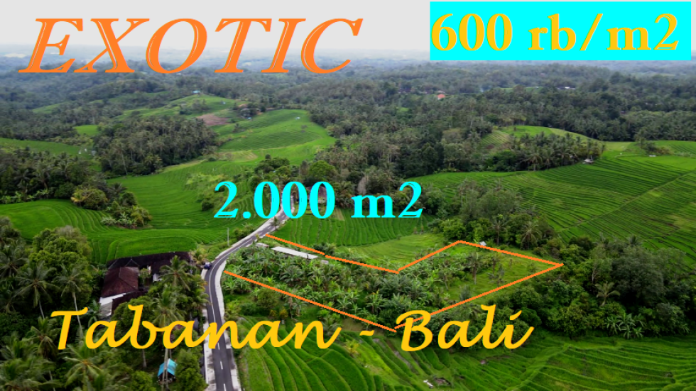 Exotic 2,000 m2 LAND SALE IN Selemadeg Timur Tabanan BALI TJTB569