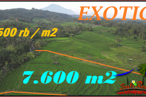 Magnificent 7,600 m2 LAND SALE IN Selemadeg Timur Tabanan BALI TJTB570