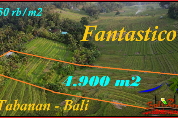 Exotic PROPERTY 4,900 m2 LAND IN TABANAN FOR SALE TJTB571
