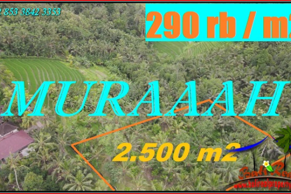 Cheap property 2,500 m2 LAND FOR SALE IN TABANAN TJTB573
