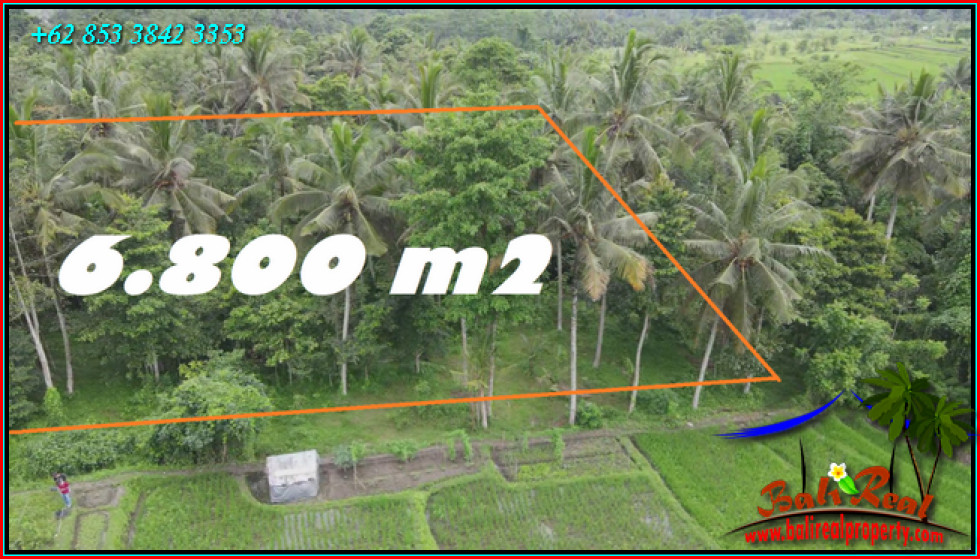 6,800 m2 LAND SALE IN Marga Tabanan BALI TJTB575