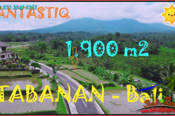 FOR SALE Beautiful 1,900 m2 LAND IN Penebel Tabanan BALI TJTB588