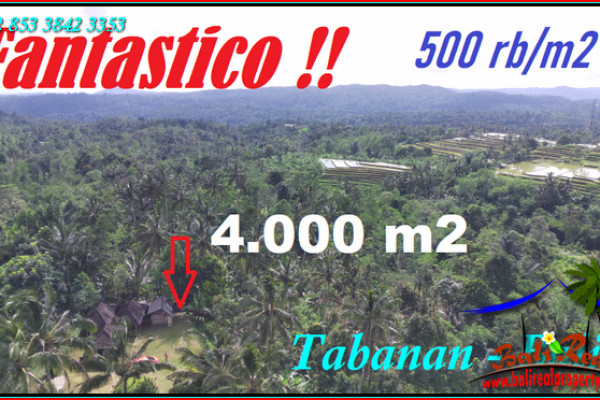 Beautiful Pupuan Tabanan LAND FOR SALE TJTB541