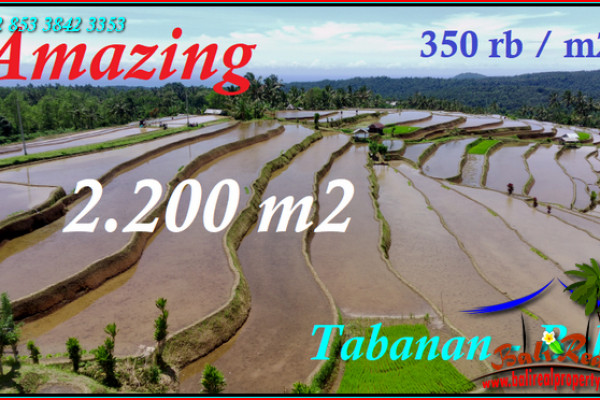 Affordable TABANAN BALI LAND FOR SALE TJTB542