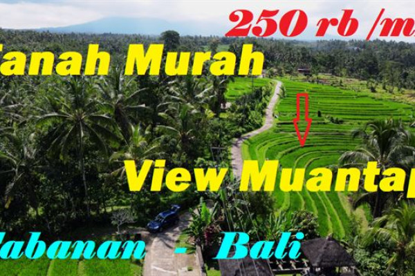 Magnificent Penebel Tabanan BALI 4.800 m2 LAND FOR SALE TJTB596