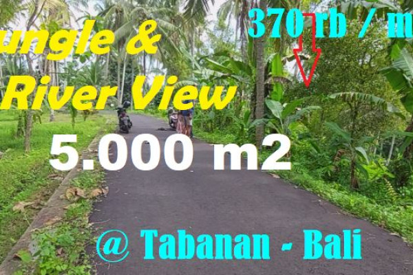 Beautiful 5,000 m2 LAND IN Selemadeg Timur Tabanan BALI FOR SALE TJTB607