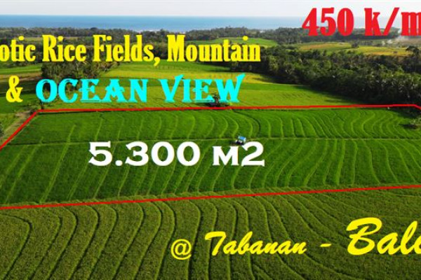 Magnificent 5,300 m2 LAND IN Selemadeg Tabanan BALI FOR SALE TJTB610