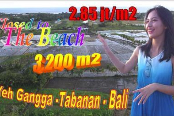 Magnificent PROPERTY Tabanan LAND FOR SALE TJTB639