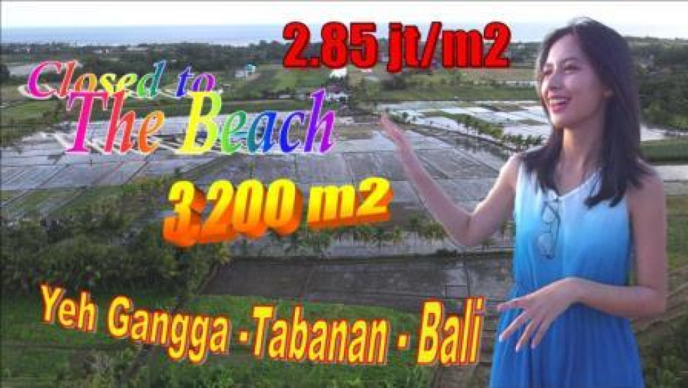 Magnificent PROPERTY Tabanan LAND FOR SALE TJTB639
