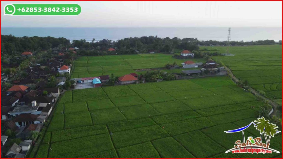 Magnificent LAND IN Kerambitan Tabanan FOR SALE TJTB643