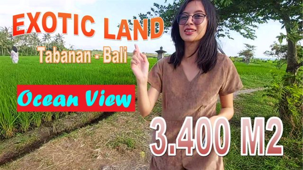 FOR SALE Exotic 3,400 m2 LAND IN Kerambitan Tabanan BALI TJTB648