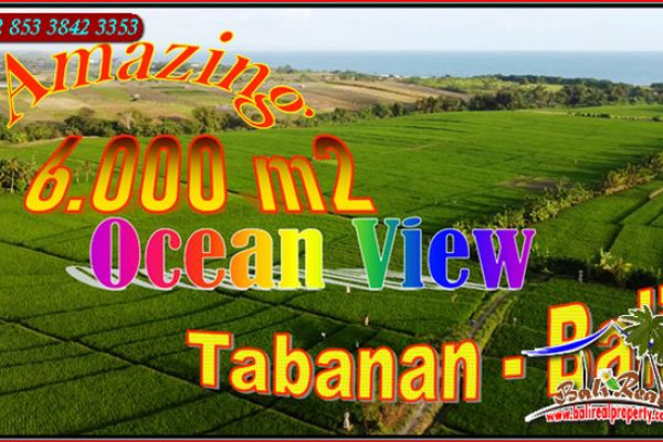 Magnificent LAND FOR SALE IN Kerambitan Tabanan TJTB649