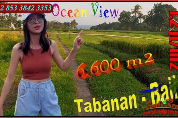 Exotic 6.600 m2 LAND IN Selemadeg Timur Tabanan BALI FOR SALE TJTB650