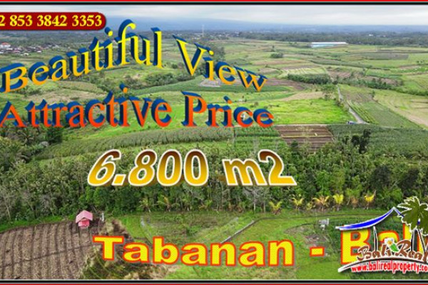 Affordable PROPERTY 6,800 m2 LAND SALE IN Kerambitan Tabanan BALI TJTB655
