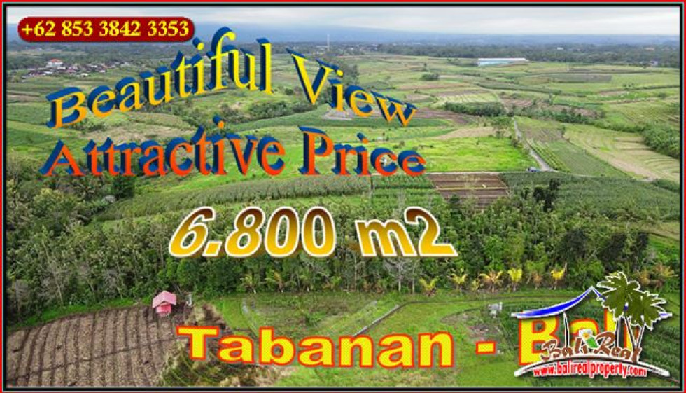 Magnificent 6,800 m2 LAND IN Kerambitan Tabanan BALI FOR SALE TJTB655