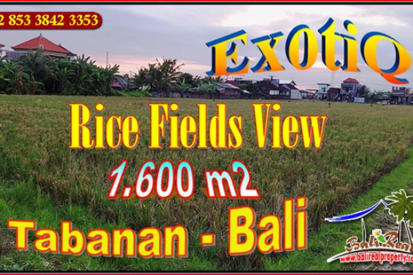 FOR SALE 1,600 m2 LAND IN Kerambitan Tabanan TJTB658