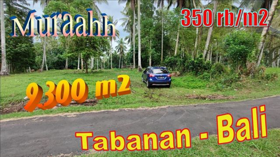 Magnificent PROPERTY LAND SALE IN Selemadeg Timur Tabanan TJTB627