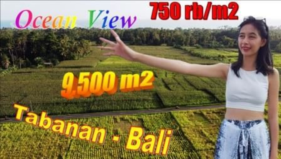 Affordable LAND FOR SALE IN TABANAN BALI TJTB651