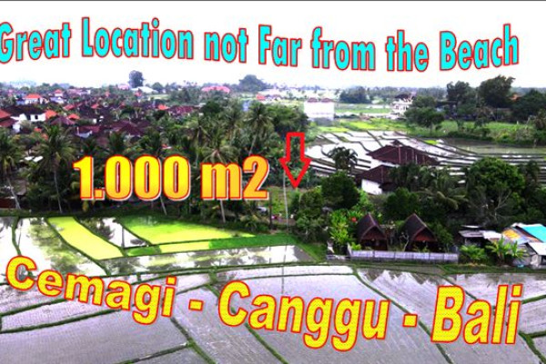 Affordable LAND FOR SALE IN Canggu Cemagi TJCG268