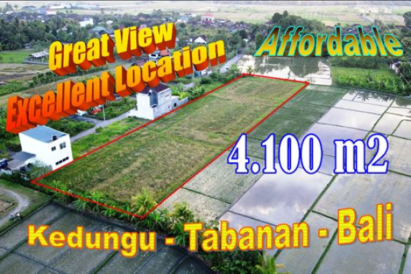 Cheap property 4,100 m2 LAND FOR SALE IN TABANAN TJTB623
