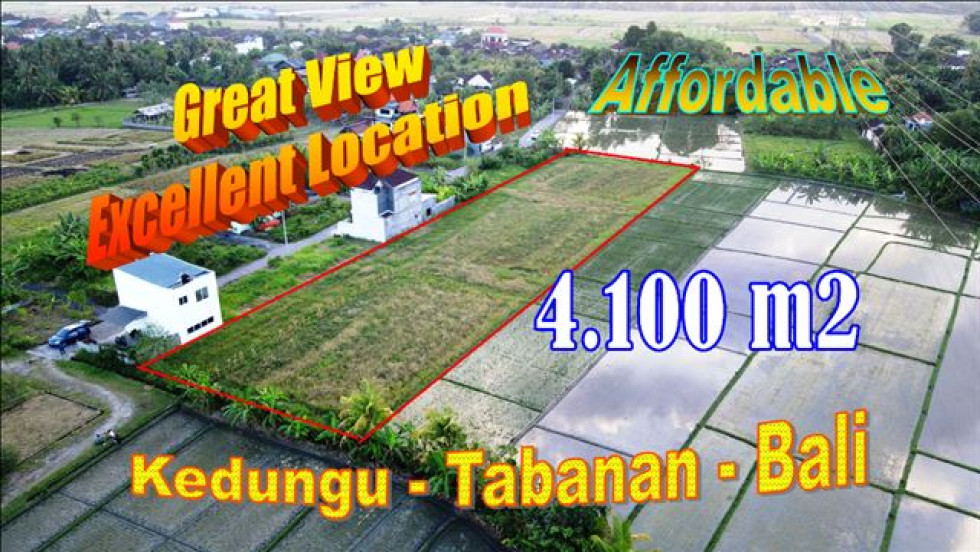 Magnificent 4,100 m2 LAND SALE IN Kediri Tabanan BALI TJTB623