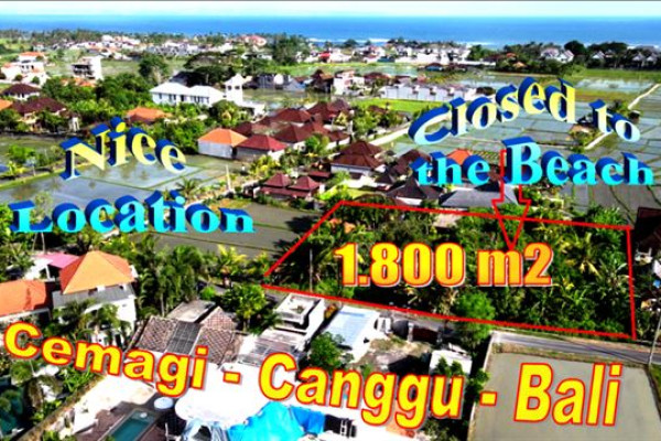Exotic 1,800 m2 LAND IN Canggu Cemagi BALI FOR SALE TJCG267