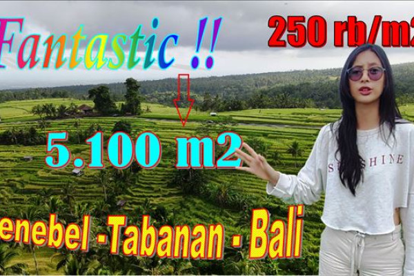 Beautiful Penebel Tabanan LAND FOR SALE TJTB641