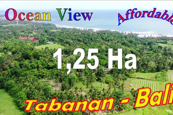 Exotic 12,500 m2 LAND SALE IN Selemadeg Barat Tabanan BALI TJTB669