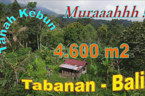 Cheap property LAND IN Pupuan Tabanan FOR SALE TJTB674