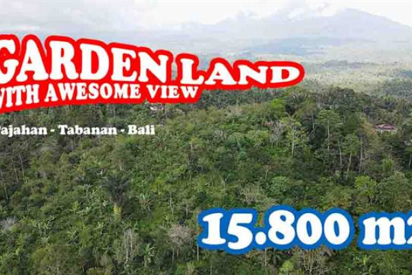 Cheap property LAND IN Pupuan Tabanan FOR SALE TJTB678