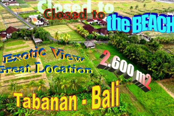 Beautiful PROPERTY LAND FOR SALE IN Tabanan BALI TJTB634