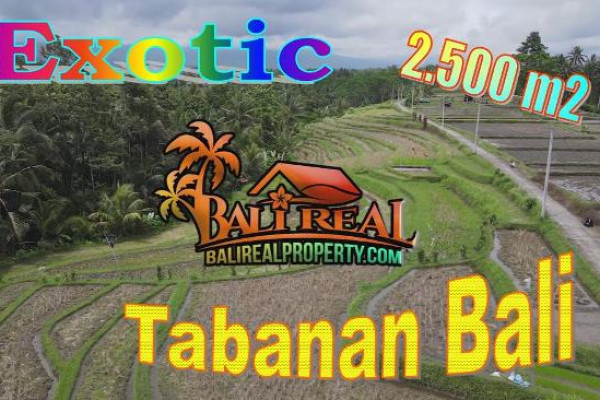Affordable PROPERTY 2,500 m2 LAND IN TABANAN FOR SALE TJTB694