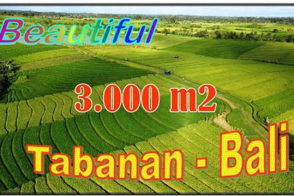 Exotic 3,000 m2 LAND FOR SALE IN Selemadeg Timur BALI TJTB701