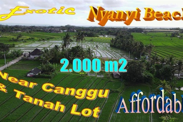 Magnificent 2,000 m2 LAND IN Kediri Tabanan BALI FOR SALE TJTB710