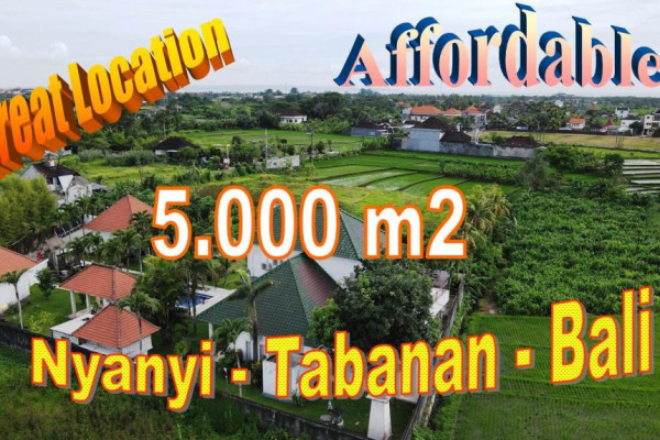 Magnificent PROPERTY LAND FOR SALE IN Kediri Tabanan BALI TJTB712