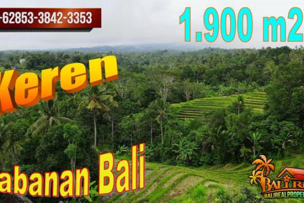 Beautiful 1,900 m2 LAND IN Penebel Tabanan BALI FOR SALE TJTB707