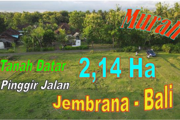 Exotic Jembrana BALI 21.400 m2 LAND FOR SALE TJB2023N