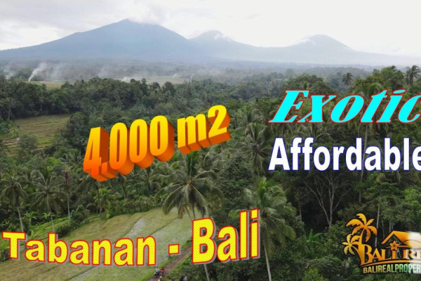 Magnificent 4,000 m2 LAND IN Penebel Tabanan BALI FOR SALE TJTB705