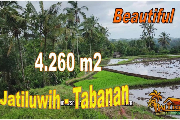 Magnificent PROPERTY 4,260 m2 LAND FOR SALE IN TABANAN TJTB706