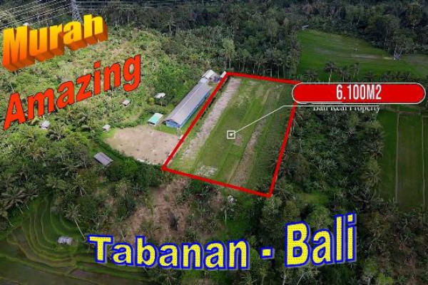 FOR SALE Cheap property 6,100 m2 LAND IN Pupuan Tabanan  BALI TJTB725
