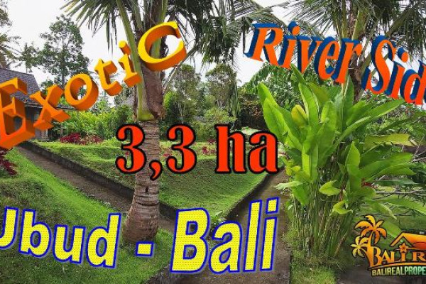 Magnificent 33,000 m2 LAND for SALE in Sukawati Ubud BALI TJUB857