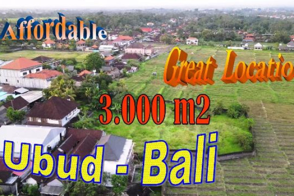 Magnificent PROPERTY 3,000 m2 LAND for SALE in UBUD TJUB859