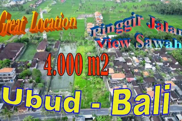 Exotic PROPERTY LAND for SALE in Sukawati Ubud BALI TJUB862