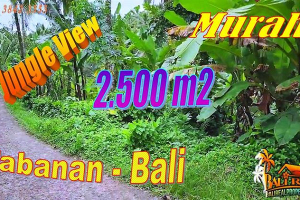 Exotic Selemadeg Timur Tabanan BALI 2,500 m2 LAND FOR SALE TJTB723