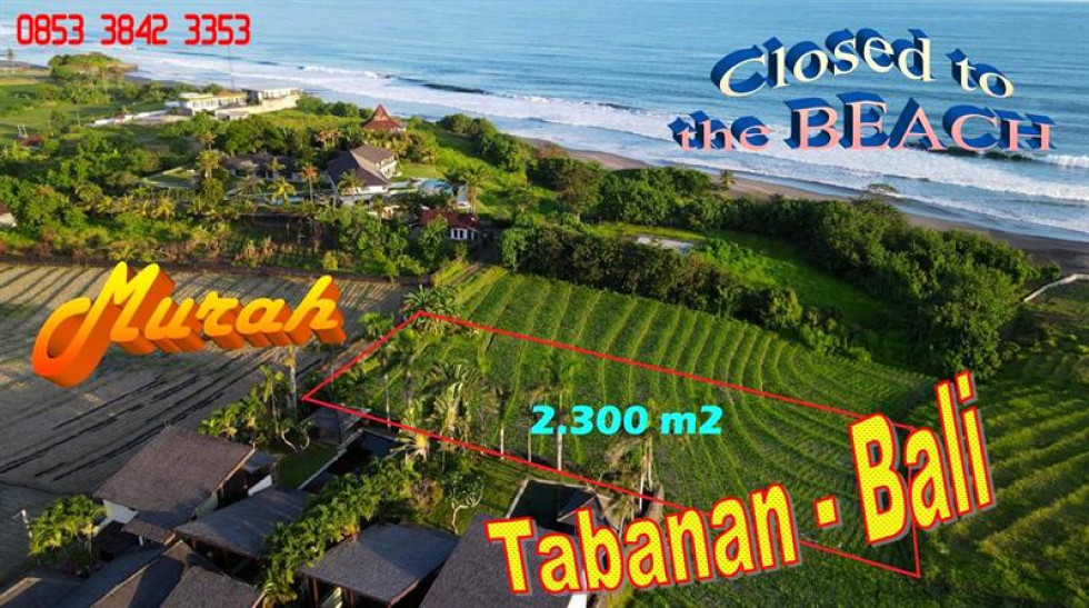 FOR SALE Affordable 2,300 m2 LAND IN Selemadeg Tabanan TJTB740