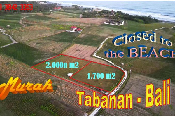 Magnificent 2,000 m2 LAND SALE IN Selemadeg Tabanan BALI TJTB742