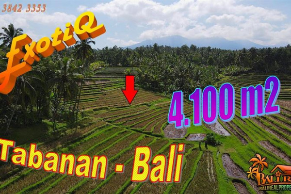 Exotic PROPERTY LAND FOR SALE IN Penebel Tabanan BALI TJTB744